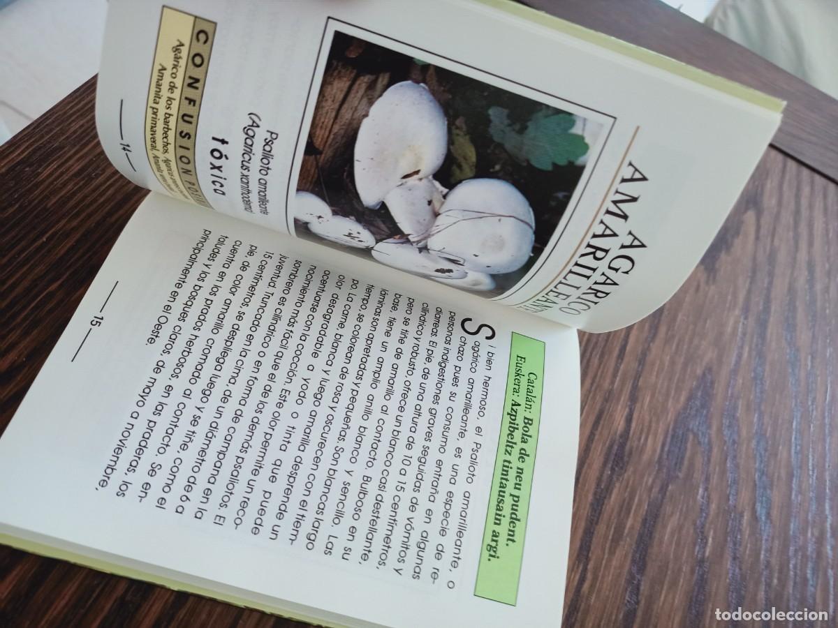 Libros de segunda mano: SETAS. GU&Iacute;A ILUSTRADA. ANDREE COCHAND. IBERLIBRO. 1997. - Foto 12
