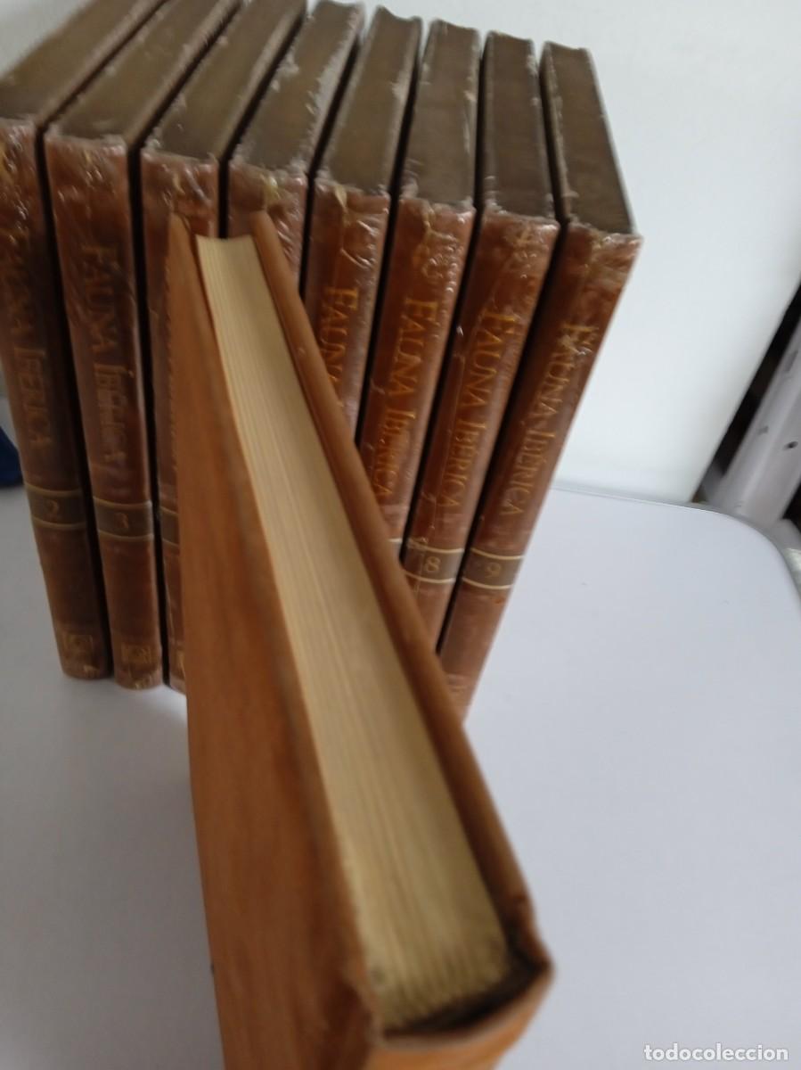 Libros de segunda mano: FAUNA IB&Eacute;RICA El hombre y la tierra 9 Tomos - Foto 5