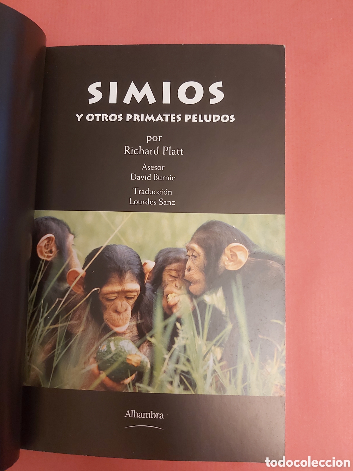 Libros de segunda mano: SIMIOS Y OTROS PRIMATES PELUDOS # MEGA BITES # ALHAMBRA 2002 - Foto 2