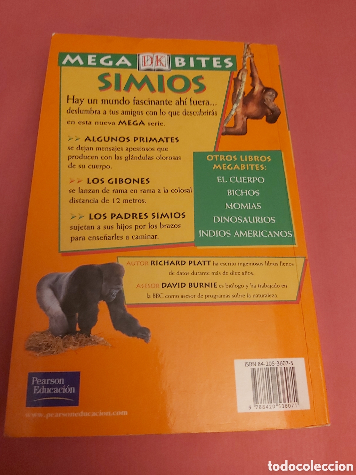 Libros de segunda mano: SIMIOS Y OTROS PRIMATES PELUDOS # MEGA BITES # ALHAMBRA 2002 - Foto 5