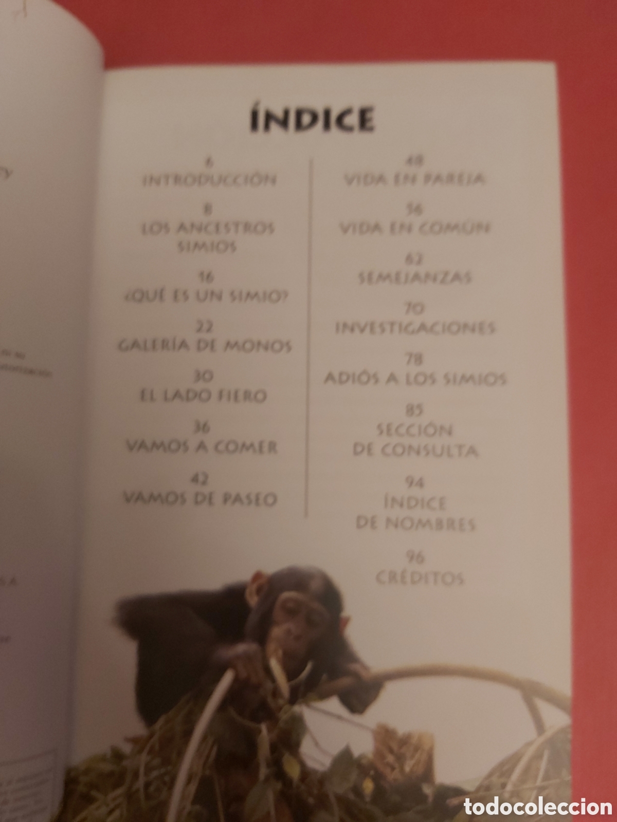 Libros de segunda mano: SIMIOS Y OTROS PRIMATES PELUDOS # MEGA BITES # ALHAMBRA 2002 - Foto 7