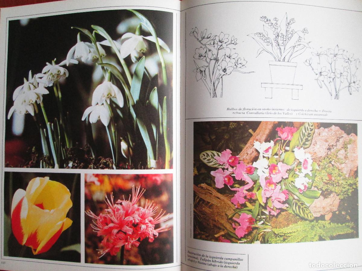 Libros de segunda mano: FLORES Y PLANTAS PARA EL HOGAR - Foto 5