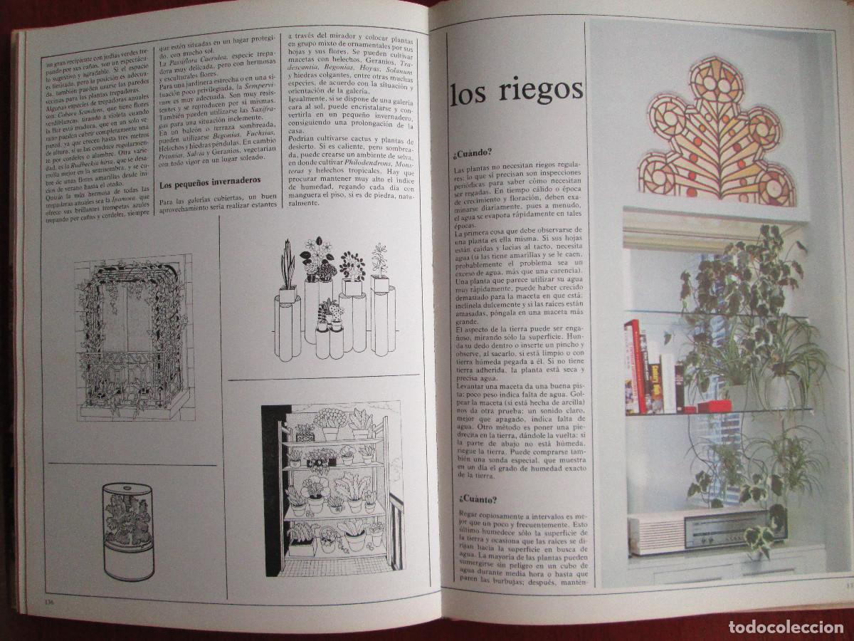 Libros de segunda mano: FLORES Y PLANTAS PARA EL HOGAR - Foto 6