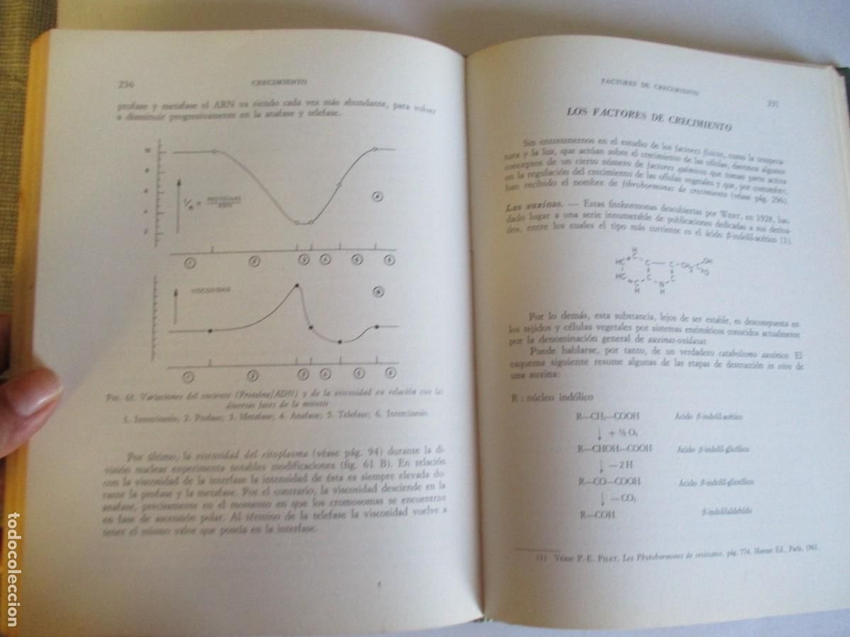 Libros de segunda mano: PAUL-EMILE PILET La c&eacute;lula estructura y funciones W28988 - Foto 3