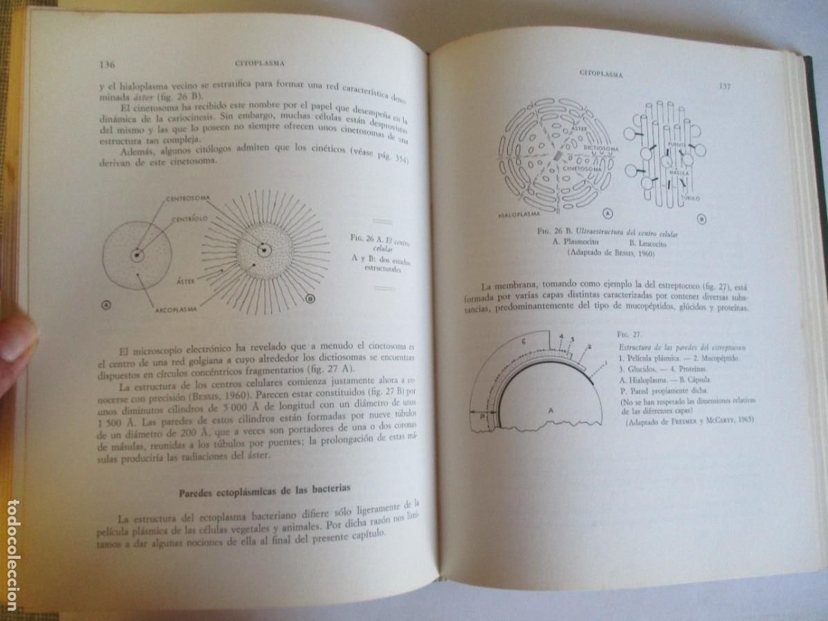 Libros de segunda mano: PAUL-EMILE PILET La c&eacute;lula estructura y funciones W28988 - Foto 4