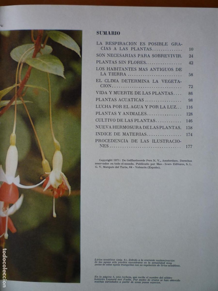 Libros de segunda mano: MARAVILLAS DEL MUNDO VERDE - Foto 2