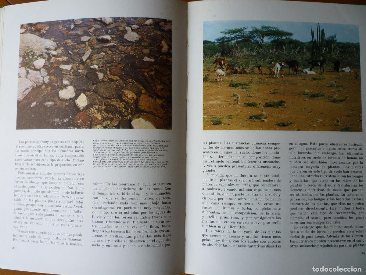 Libros de segunda mano: MARAVILLAS DEL MUNDO VERDE - Foto 6