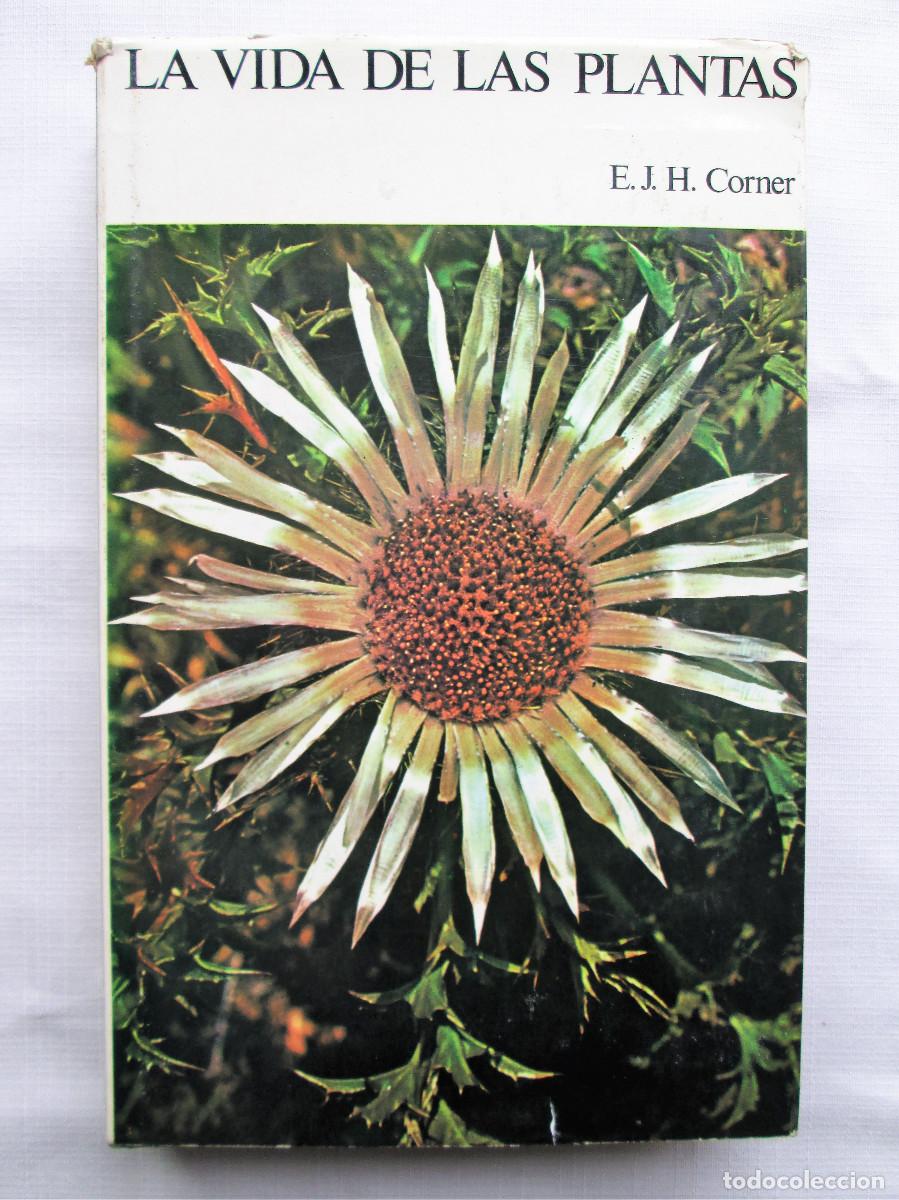 Libros de segunda mano: LA VIDA DE LAS PLANTAS &ndash; E. J. H. CORNER - Foto 1