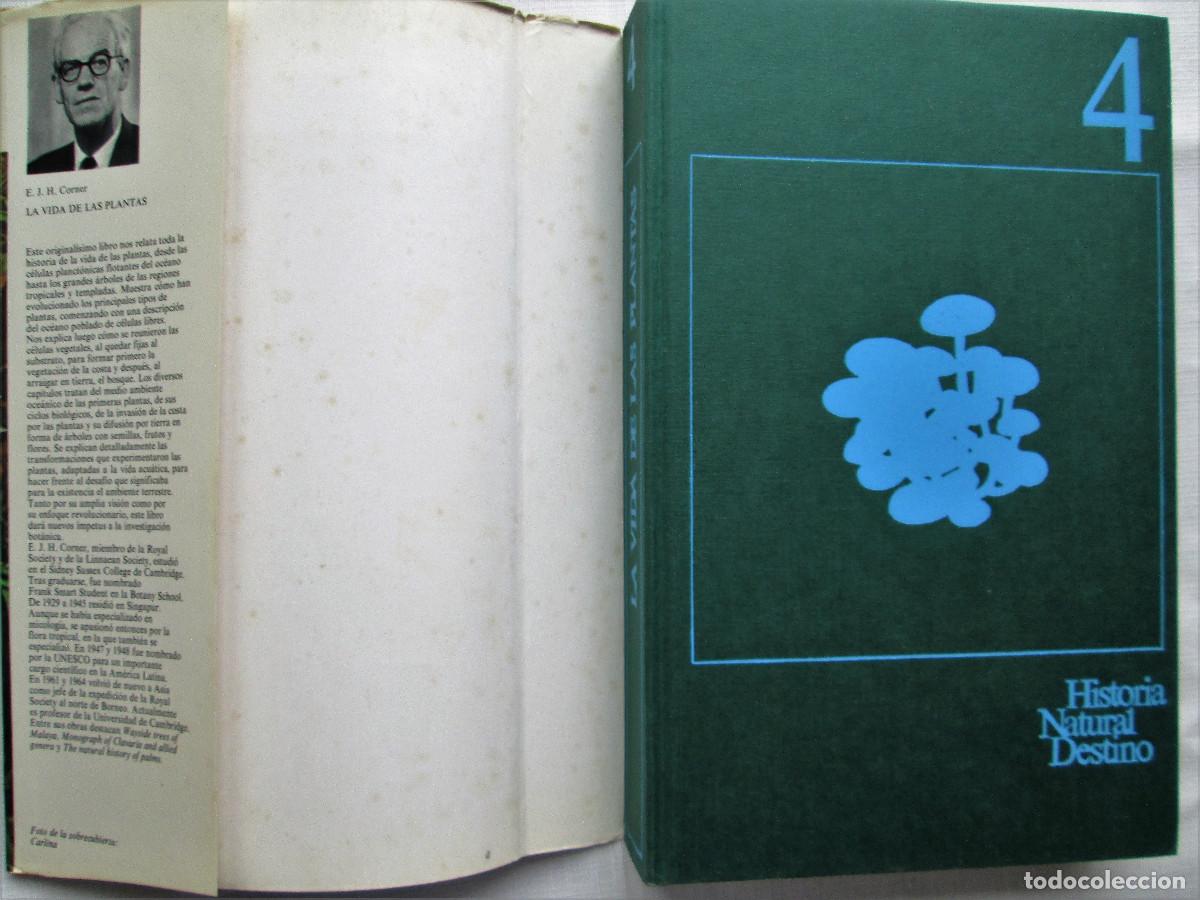 Libros de segunda mano: LA VIDA DE LAS PLANTAS &ndash; E. J. H. CORNER - Foto 2