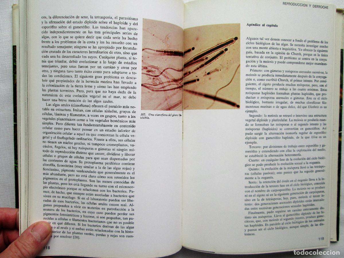 Libros de segunda mano: LA VIDA DE LAS PLANTAS &ndash; E. J. H. CORNER - Foto 5