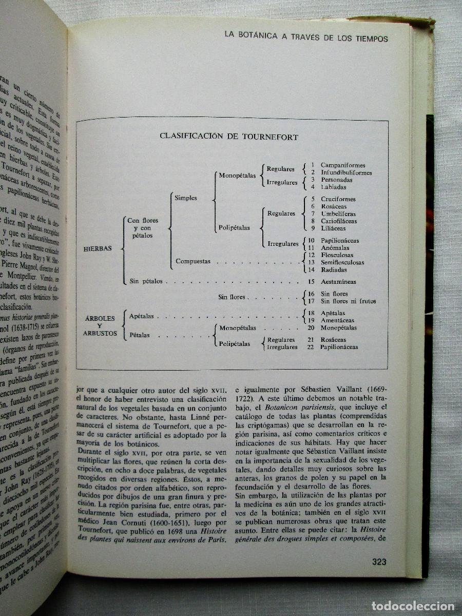 Libros de segunda mano: LA VIDA DE LAS PLANTAS &ndash; E. J. H. CORNER - Foto 7