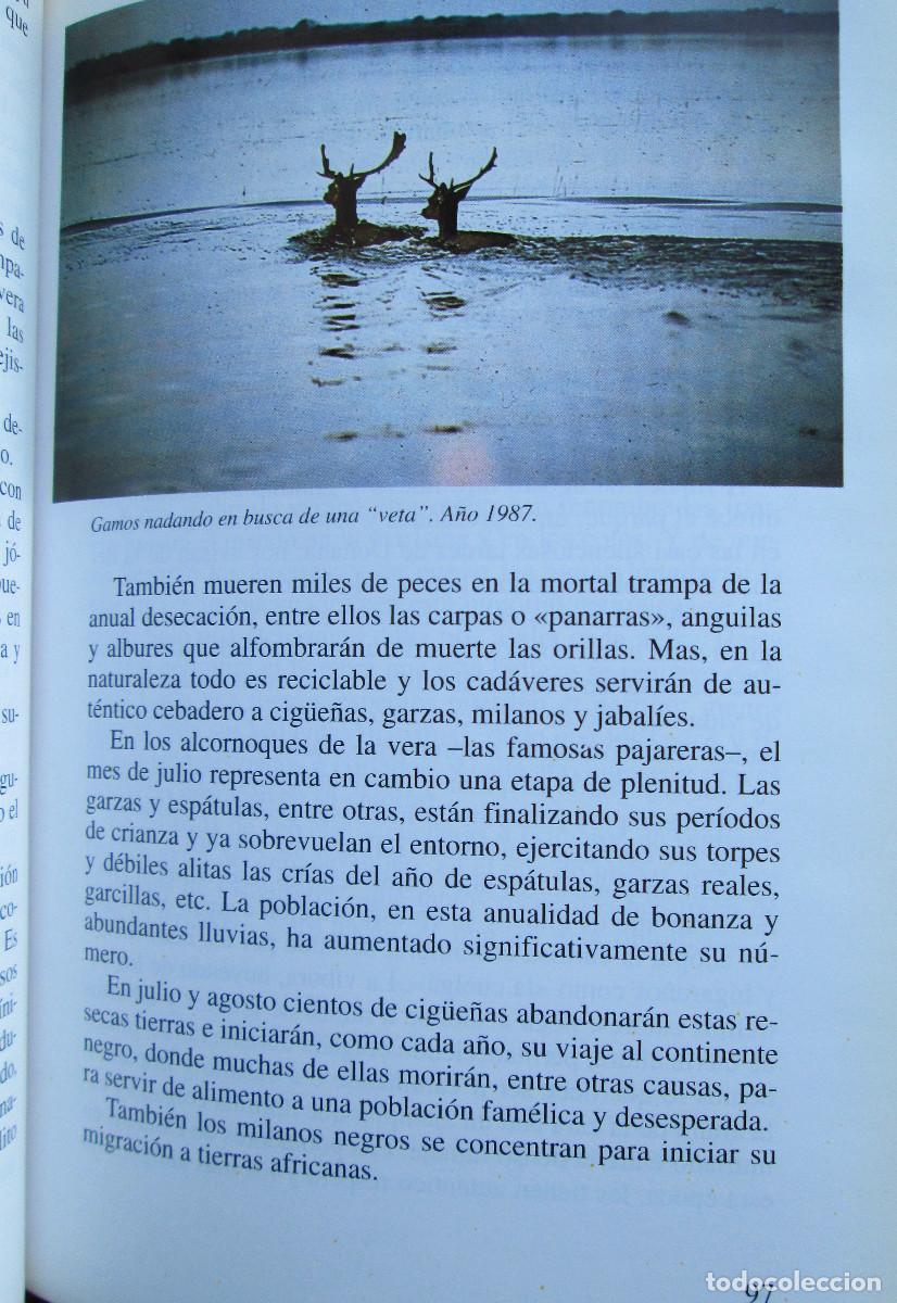 Libros de segunda mano: DO&Ntilde;ANA &ndash; JES&Uacute;S VOZMEDIANO - Foto 3