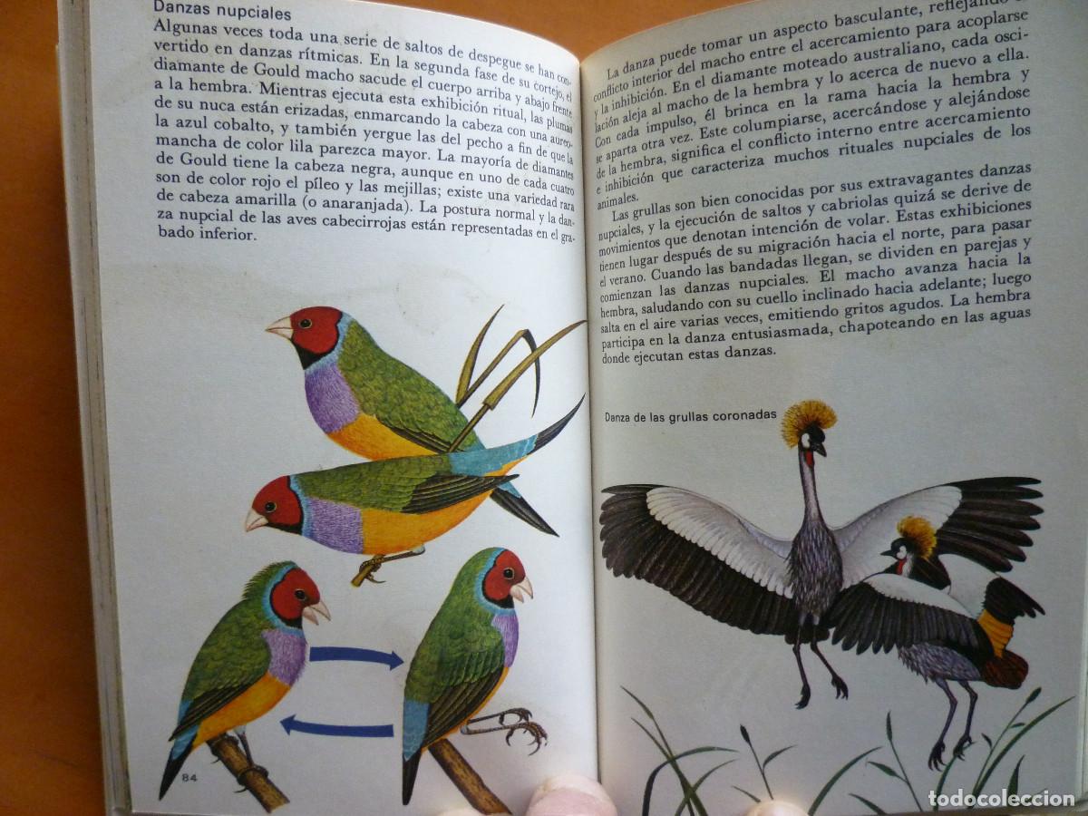 Libros de segunda mano: VIDA Y COSTUMBRE DE LAS AVES - Foto 4