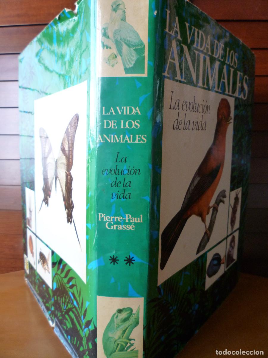 Libros de segunda mano: LA VIDA DE LOS ANIMALES - LA EVOLUCION DE LA VIDA - Foto 2