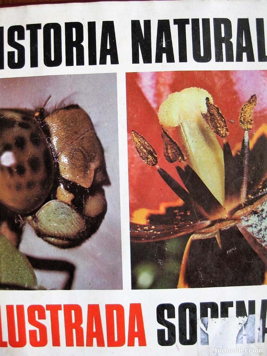 Libros de segunda mano: HISTORIA NATURAL ILUSTRADA - EDITORIAL SOPENA - Foto 1