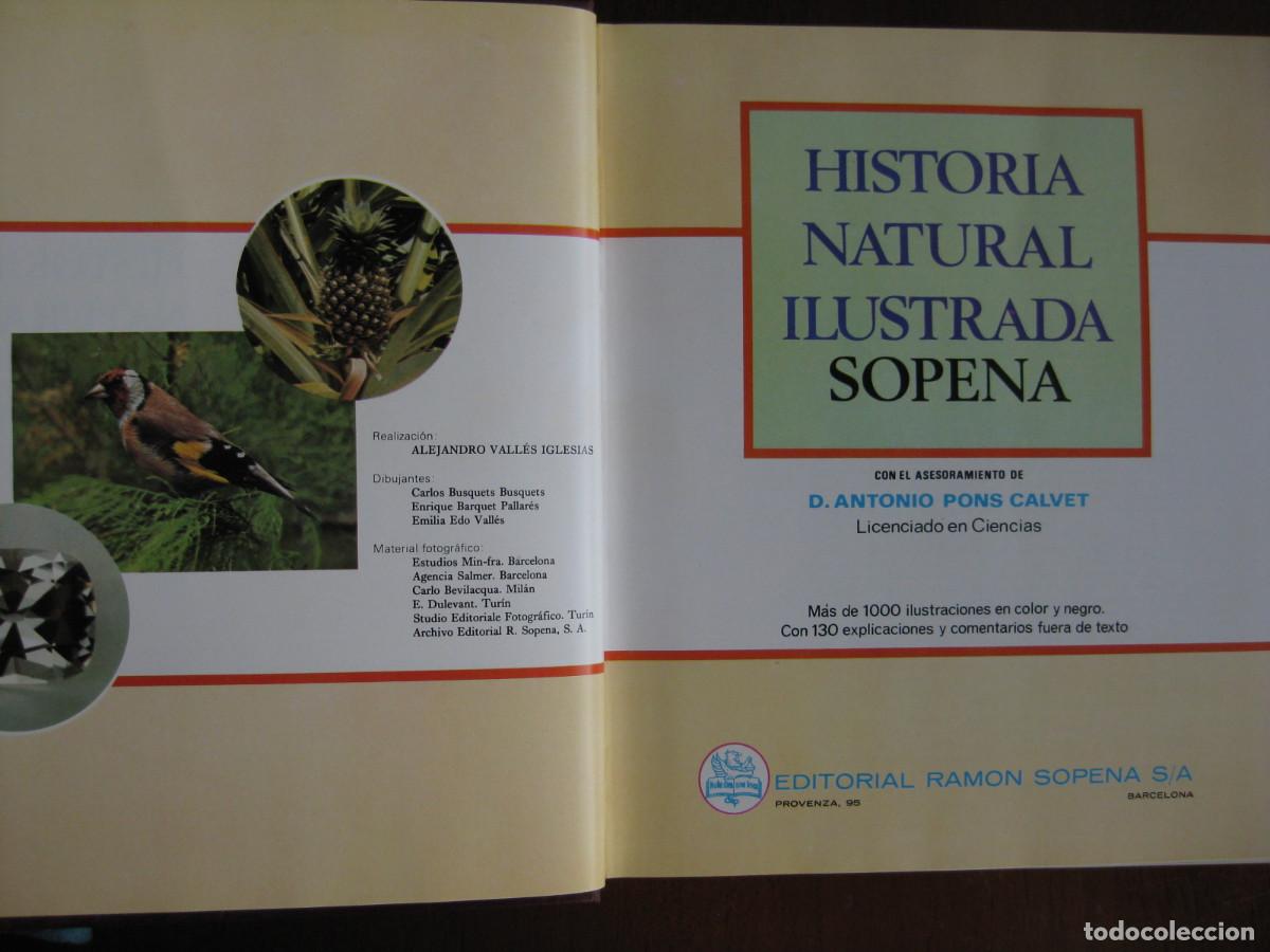 Libros de segunda mano: HISTORIA NATURAL ILUSTRADA - EDITORIAL SOPENA - Foto 6
