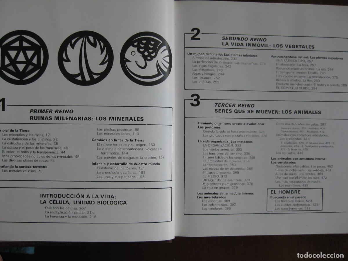 Libros de segunda mano: HISTORIA NATURAL ILUSTRADA - EDITORIAL SOPENA - Foto 7