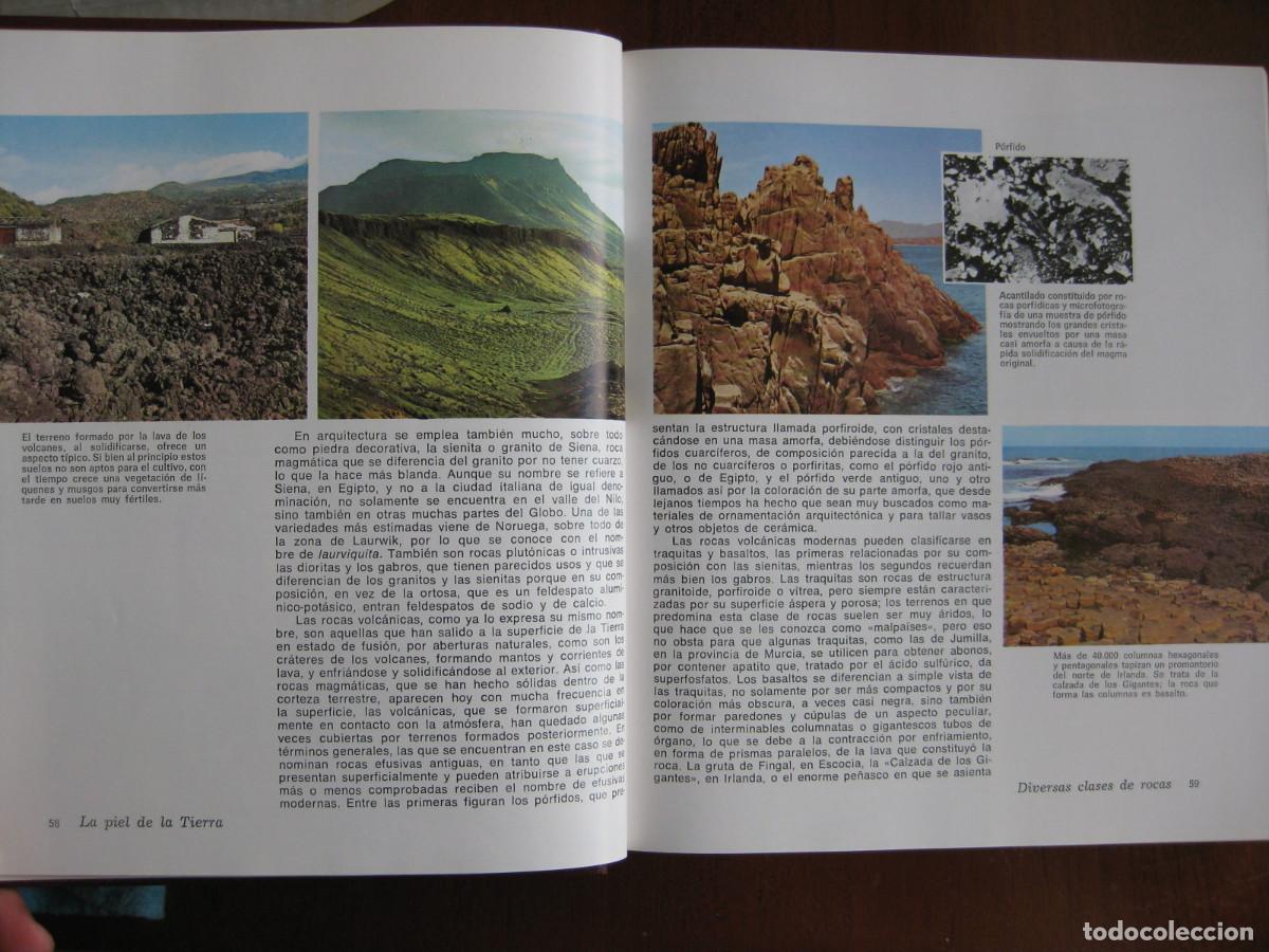 Libros de segunda mano: HISTORIA NATURAL ILUSTRADA - EDITORIAL SOPENA - Foto 8