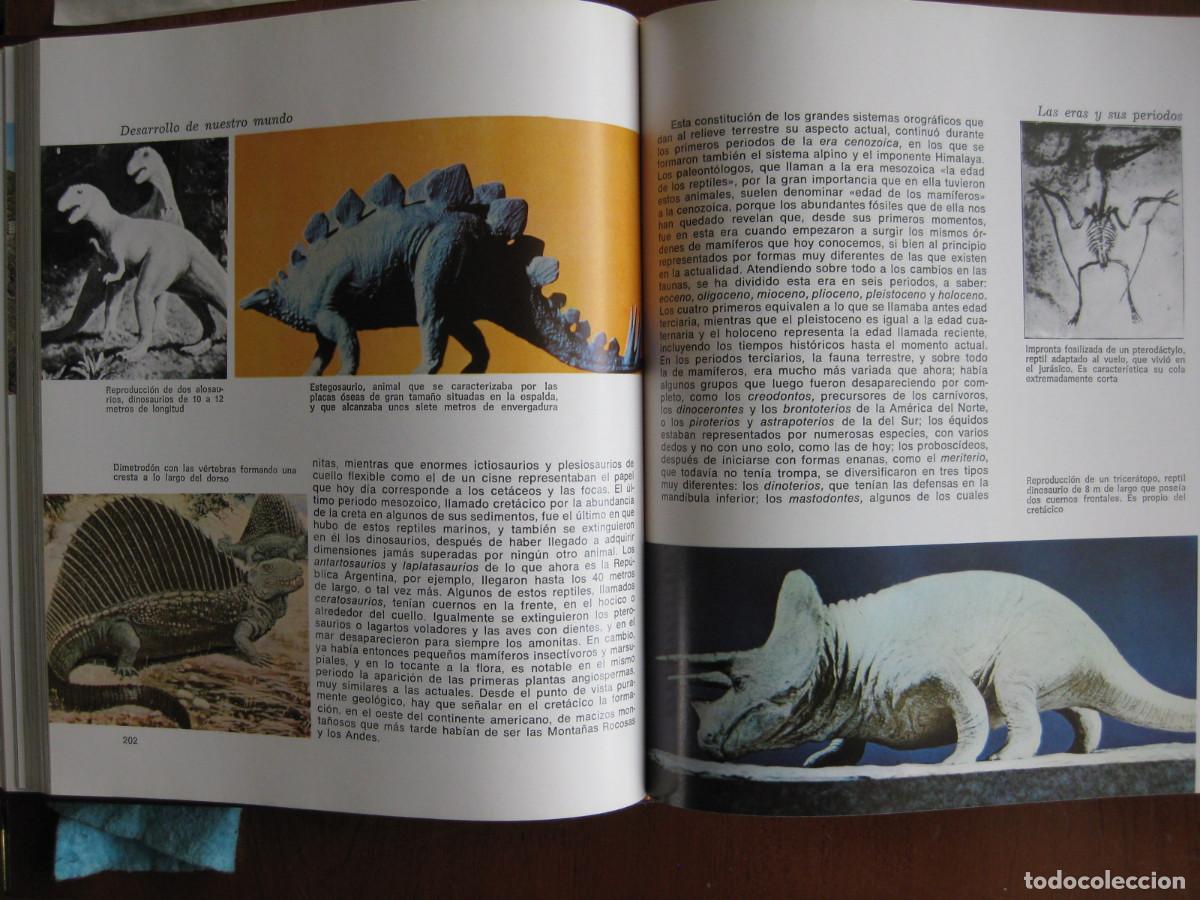 Libros de segunda mano: HISTORIA NATURAL ILUSTRADA - EDITORIAL SOPENA - Foto 9