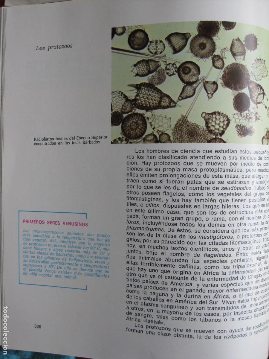 Libros de segunda mano: HISTORIA NATURAL ILUSTRADA - EDITORIAL SOPENA - Foto 11