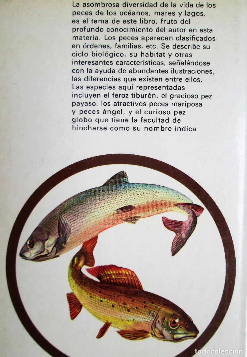 Libros de segunda mano: LOS PECES &ndash; ALLAN COOPER - Foto 2