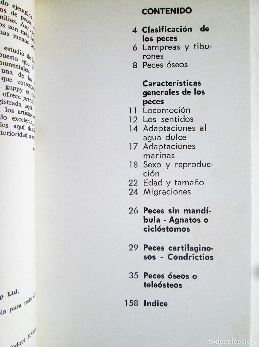 Libros de segunda mano: LOS PECES &ndash; ALLAN COOPER - Foto 3