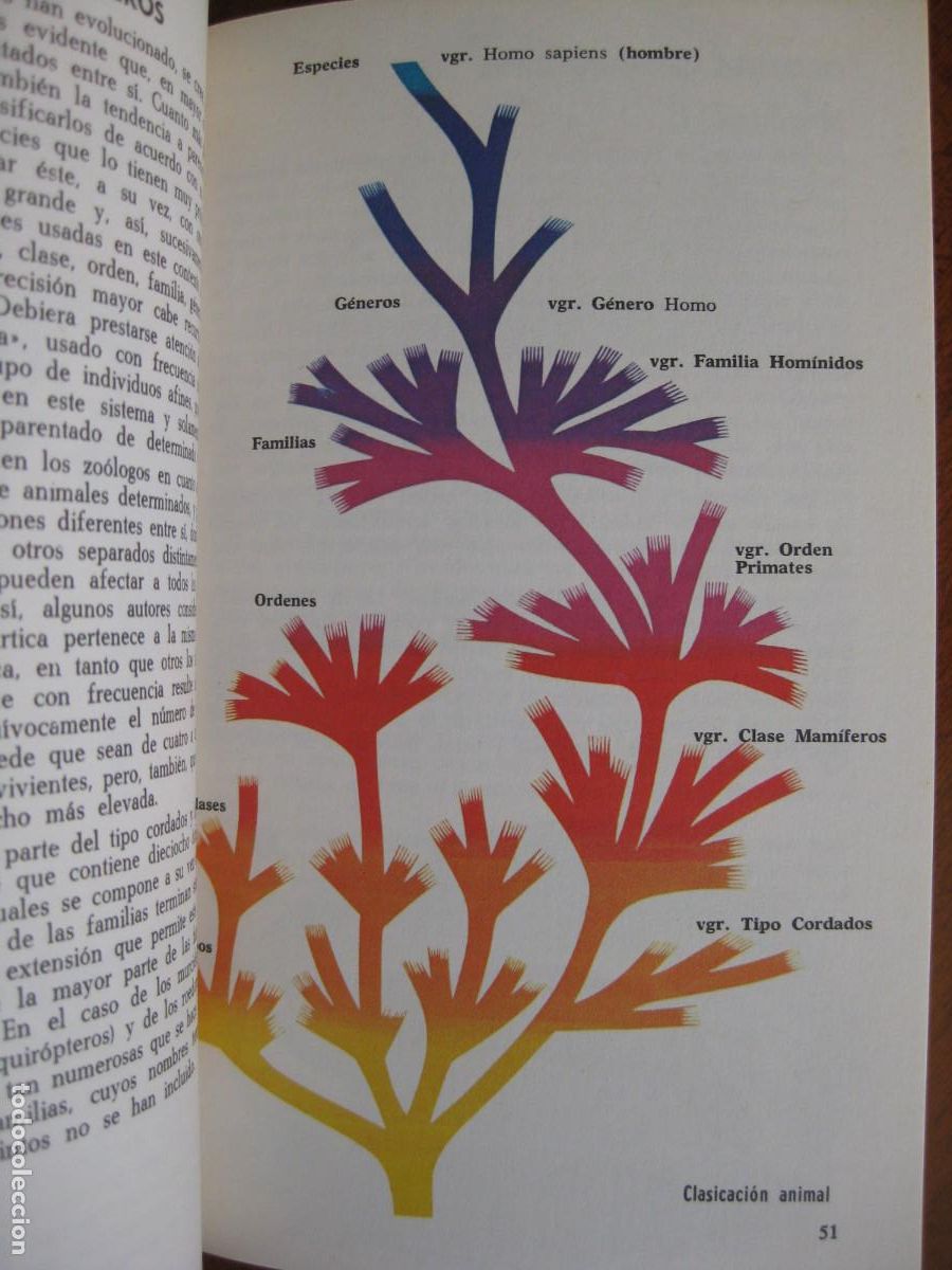 Libros de segunda mano: LOS MAMIFEROS &ndash; Michael Boorer - Foto 5