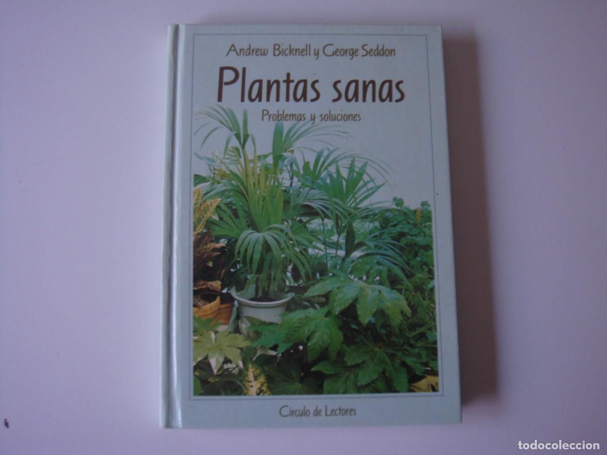 Libros de segunda mano: PLANTAS SANAS PROBLEMAS Y SOLUCIONES - Foto 1