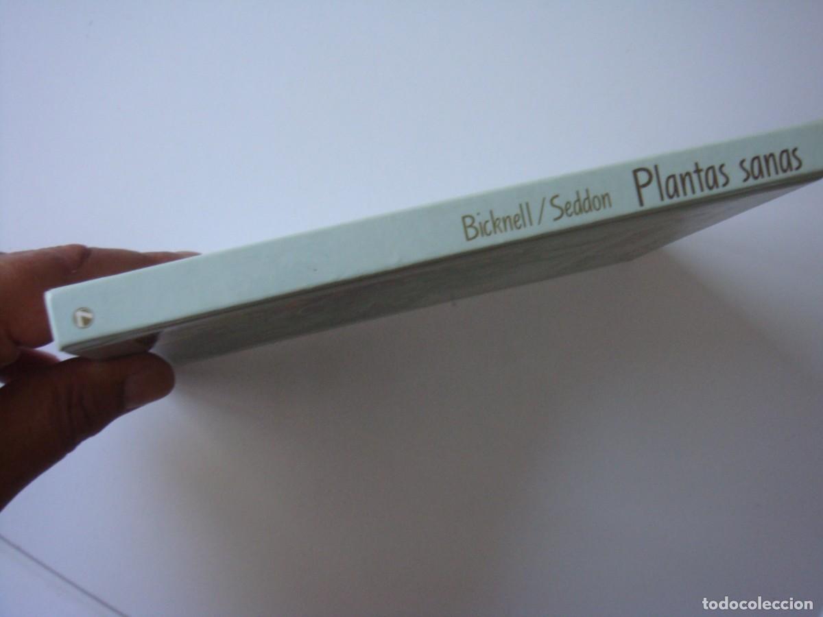 Libros de segunda mano: PLANTAS SANAS PROBLEMAS Y SOLUCIONES - Foto 2