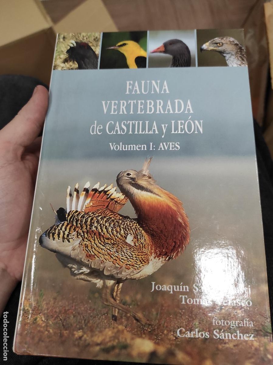Libros de segunda mano: FAUNA VERTEBRADA DE CASTILLA Y LE&Oacute;N AVES - Foto 1