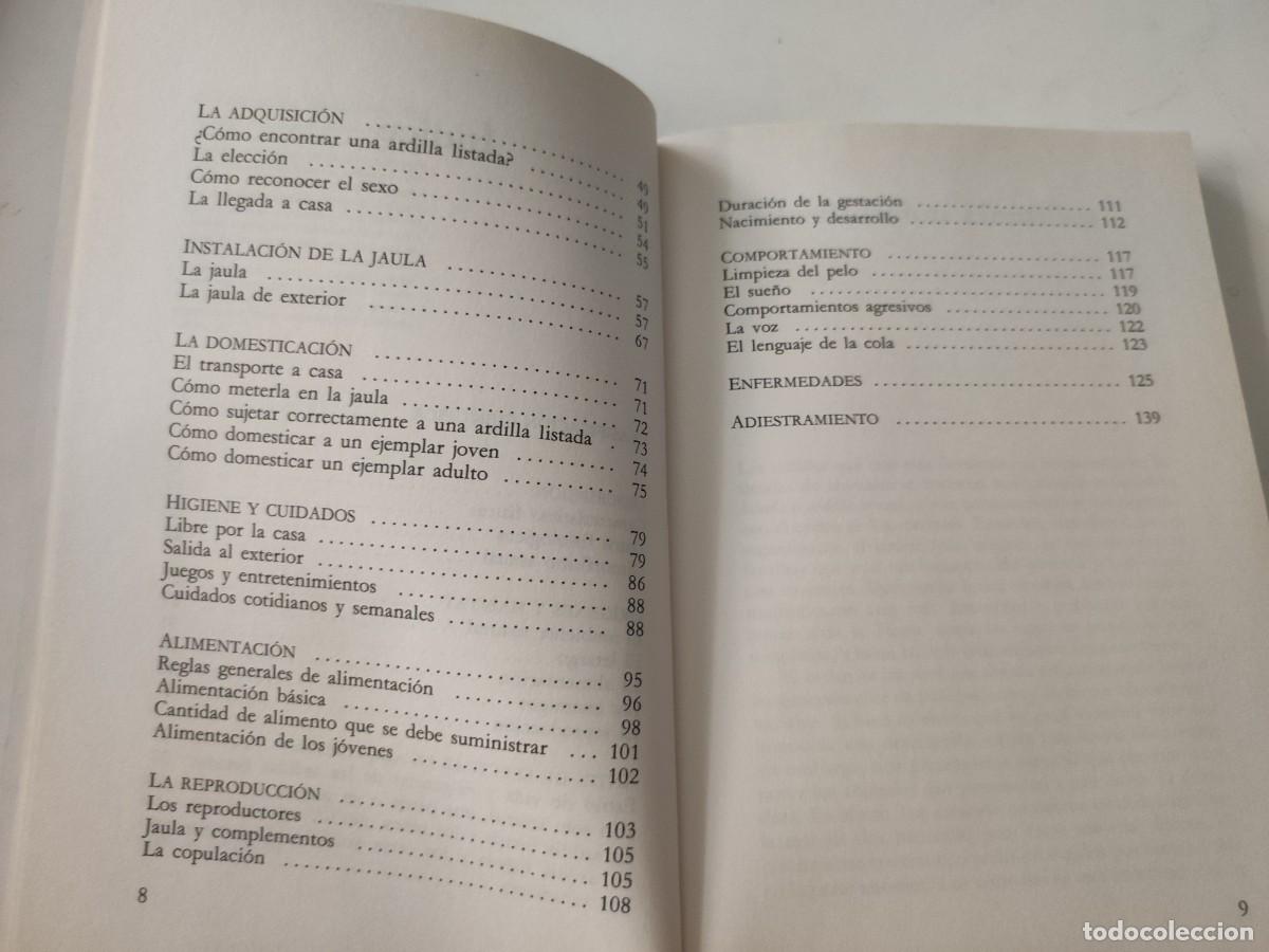 Libros de segunda mano: Todo sobre la ardilla. Elisabetta Gismondi - Foto 4