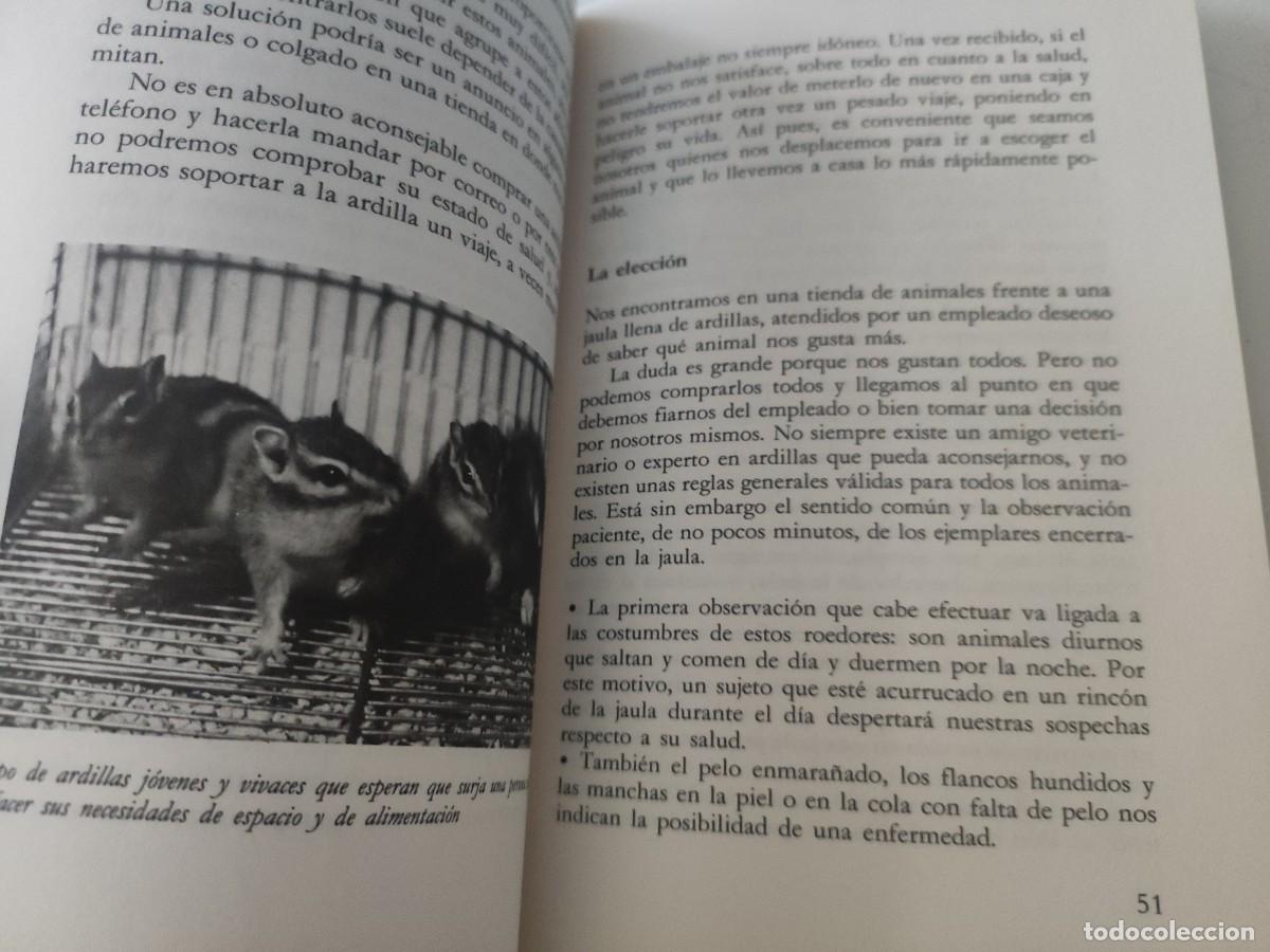 Libros de segunda mano: Todo sobre la ardilla. Elisabetta Gismondi - Foto 5