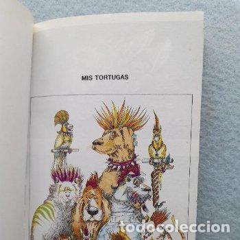 Libros de segunda mano: Mis tortugas. Johannes Jahn. - Foto 2
