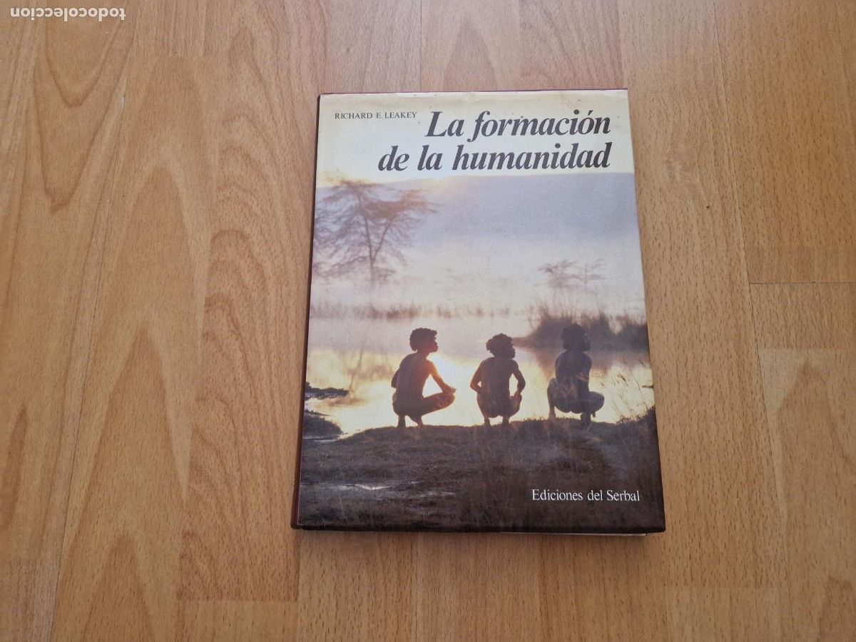 Libros de segunda mano: LA FORMACION DE LA HUMANIDAD EDICIONES DEL SERBAL - Foto 1