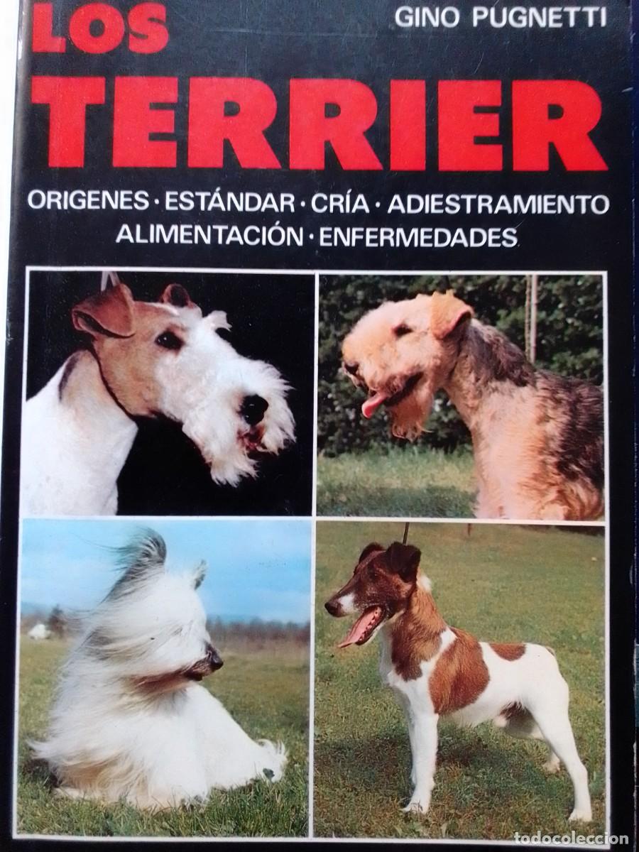 Libros de segunda mano: LOS TERRIER GINO PUGNETTI - Foto 2