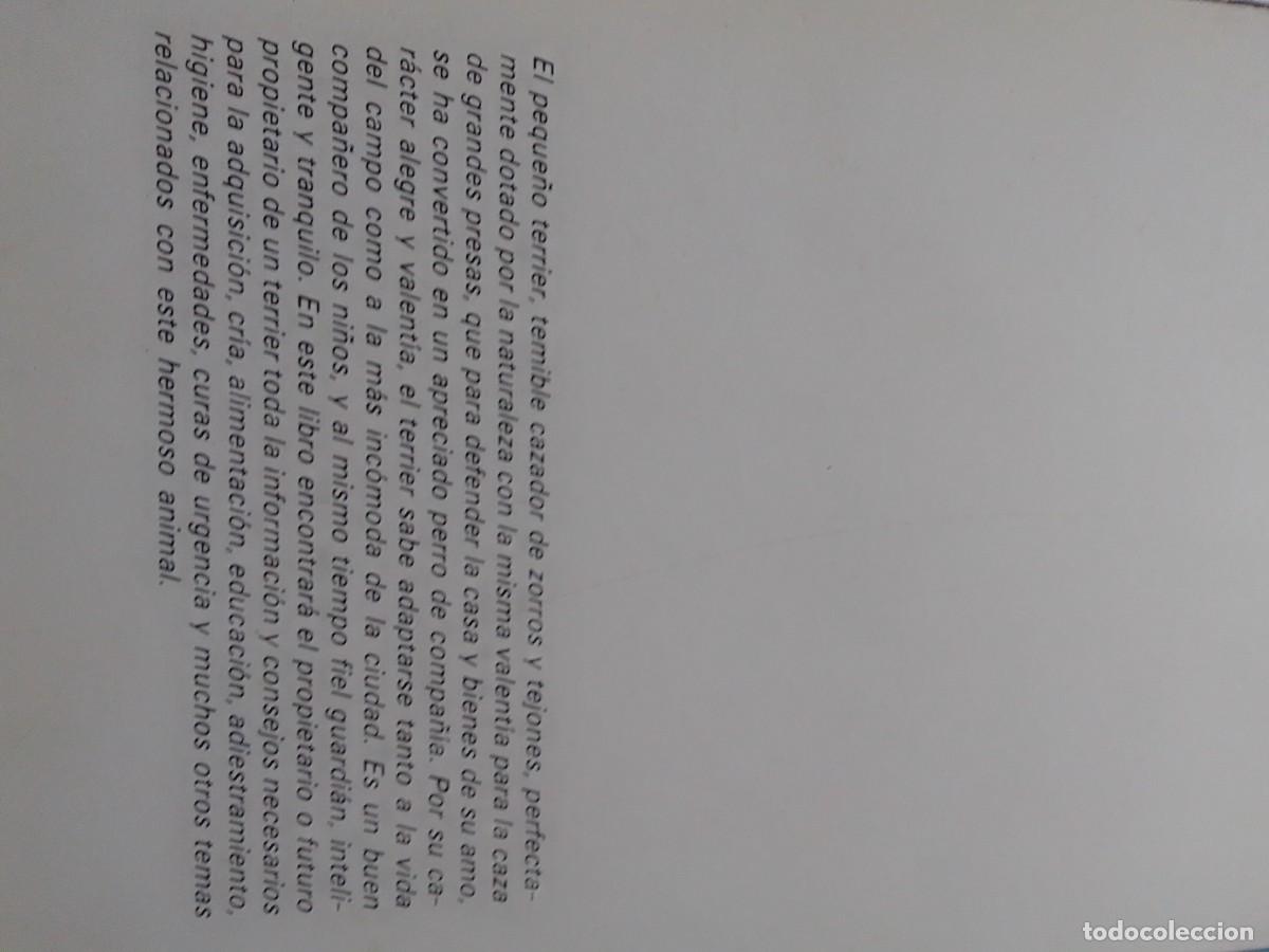 Libros de segunda mano: LOS TERRIER GINO PUGNETTI - Foto 3