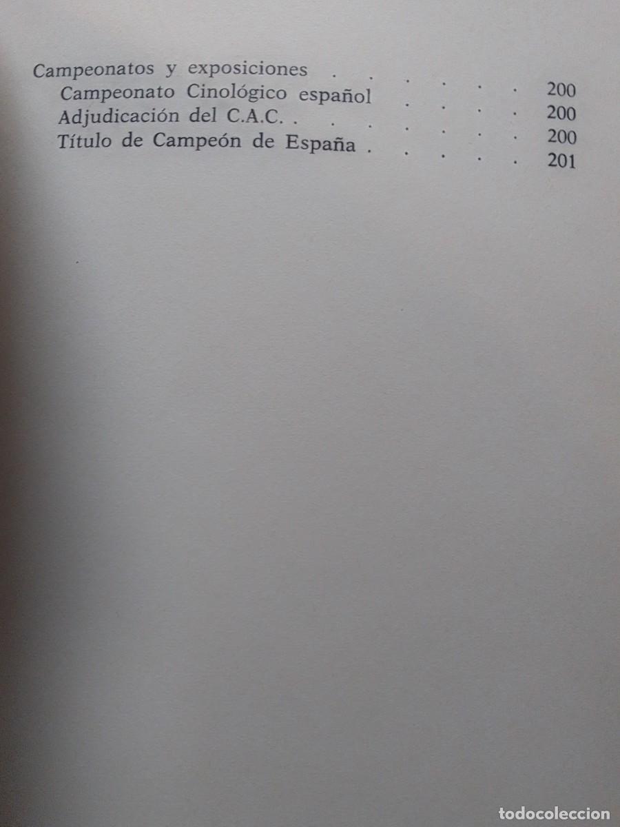 Libros de segunda mano: LOS TERRIER GINO PUGNETTI - Foto 4