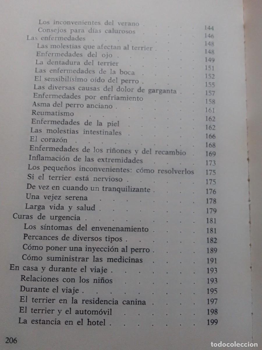 Libros de segunda mano: LOS TERRIER GINO PUGNETTI - Foto 5