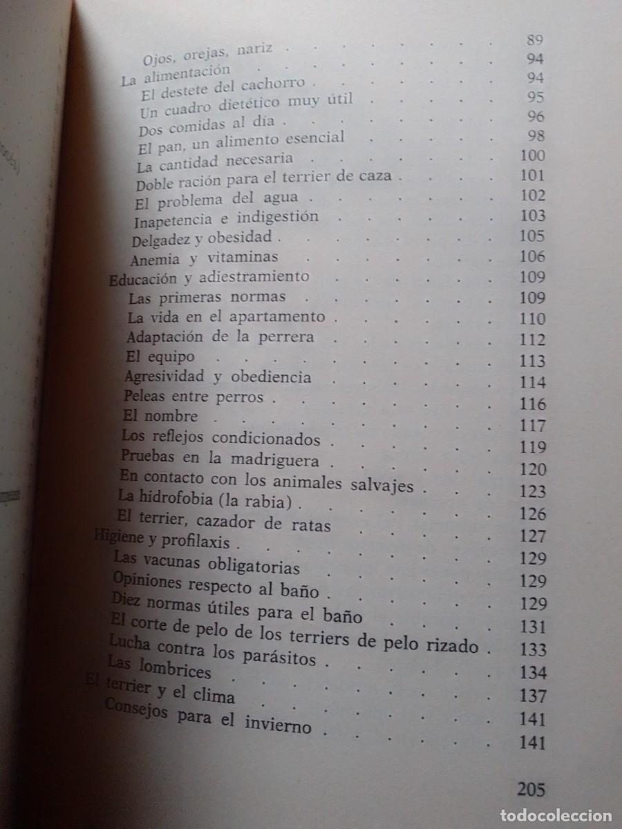 Libros de segunda mano: LOS TERRIER GINO PUGNETTI - Foto 6