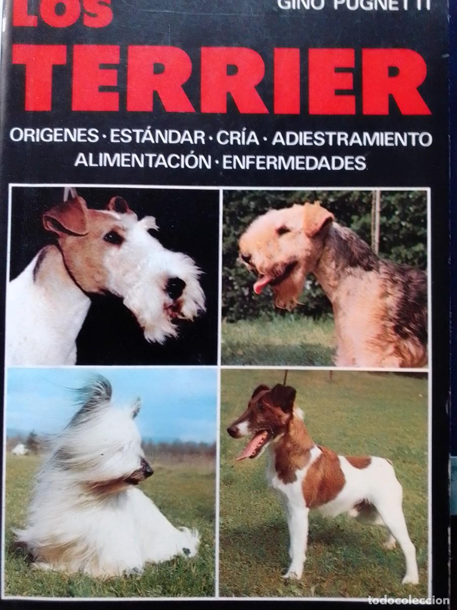 Libros de segunda mano: LOS TERRIER GINO PUGNETTI - Foto 1