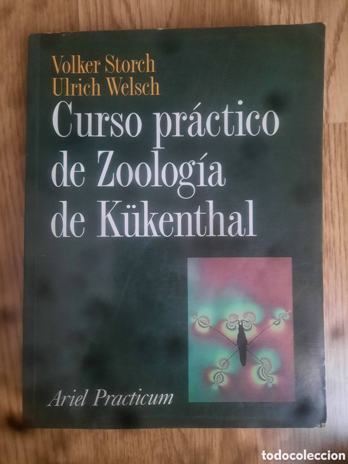 Libros de segunda mano: Curso pr&aacute;ctico de zoolog&iacute;a de k&uuml;kenthal - Foto 1