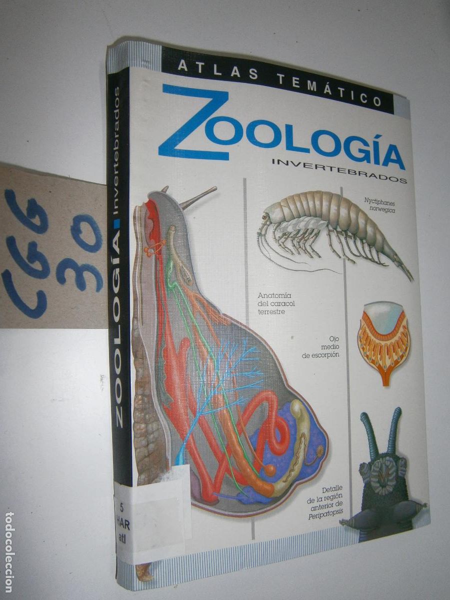Libros de segunda mano: ZOOLOGIA INVERTEBRADOS - Foto 1