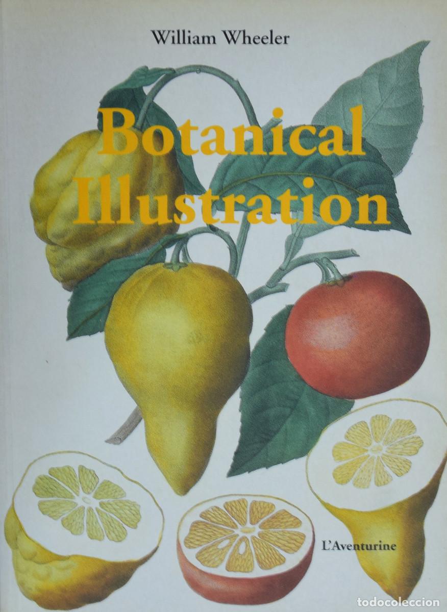 Libros de segunda mano: BOTANICAL ILUSTRATION - Willliam WHEELER - Foto 1