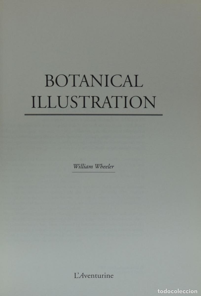 Libros de segunda mano: BOTANICAL ILUSTRATION - Willliam WHEELER - Foto 2