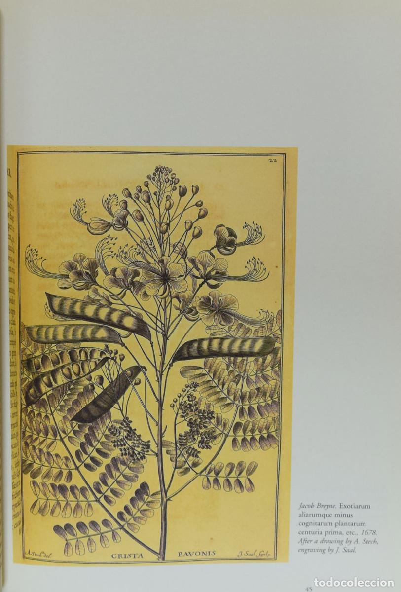 Libros de segunda mano: BOTANICAL ILUSTRATION - Willliam WHEELER - Foto 3