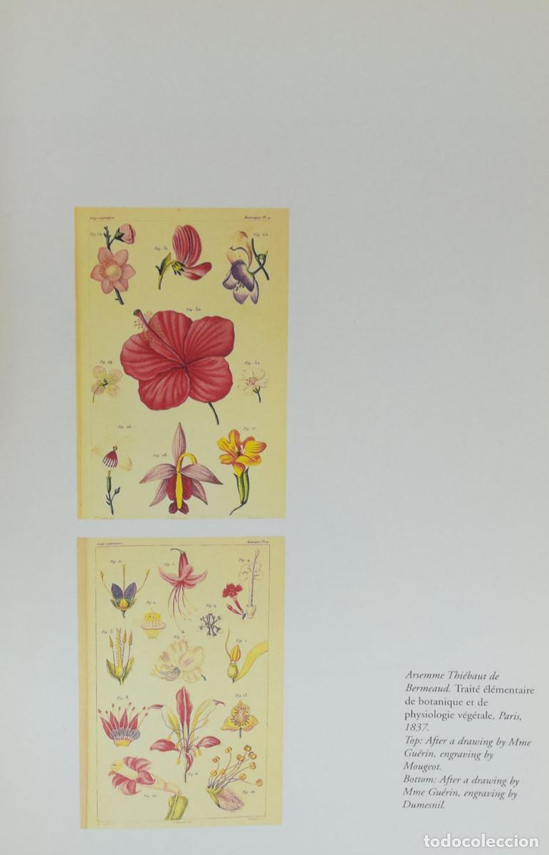 Libros de segunda mano: BOTANICAL ILUSTRATION - Willliam WHEELER - Foto 4