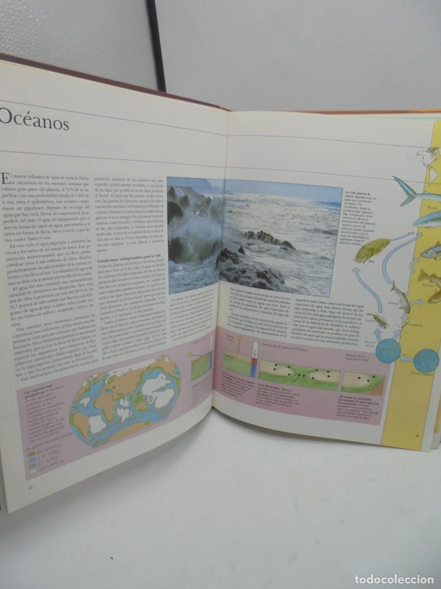 Libros de segunda mano: EL PLANETA VIVO. 1992. PAGS : 251. - Foto 3