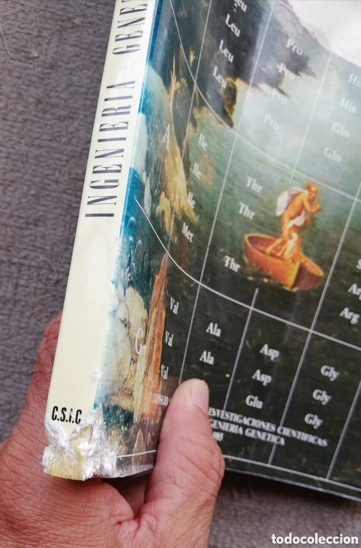 Libros de segunda mano: Ingenier&iacute;a gen&eacute;tica. Manual de t&eacute;cnicas b&aacute;sicas. C.S.I.C. 1985 - Foto 3