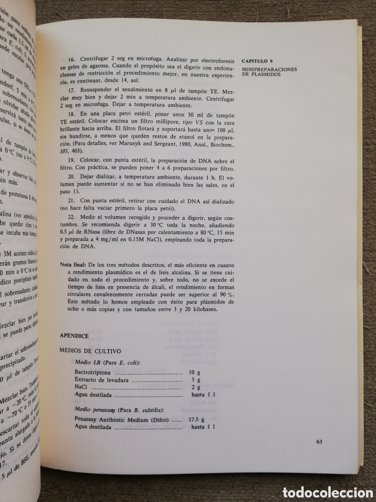 Libros de segunda mano: Ingenier&iacute;a gen&eacute;tica. Manual de t&eacute;cnicas b&aacute;sicas. C.S.I.C. 1985 - Foto 4