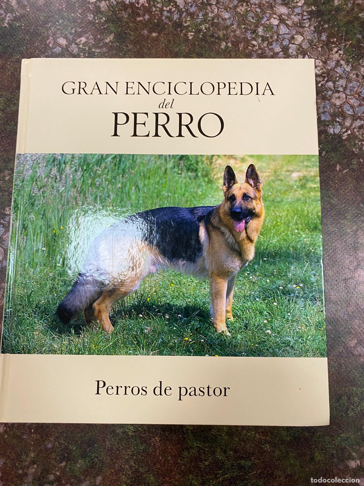 Libros de segunda mano: Gran Enciclopedia Del Perro .perros de Pastor - - Foto 1
